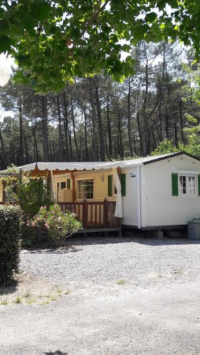 Mobilhome 4/6 pers , Bias(40)